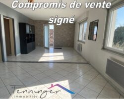 duplex vente kaltenhouse Fenninger immobilier haguenau