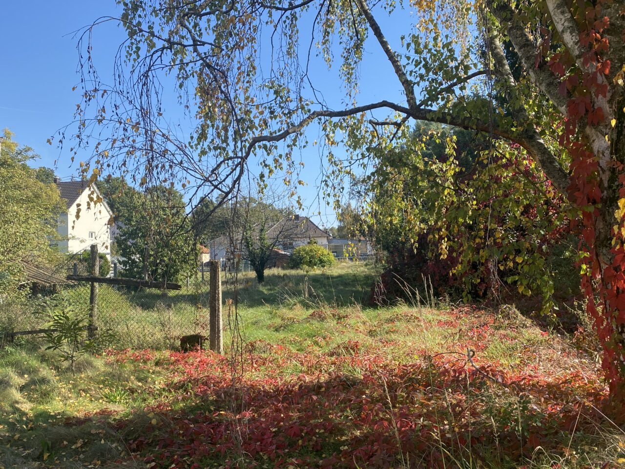 Gries, charmante maison 6 pièces, à rénover, sur 16 ares.
