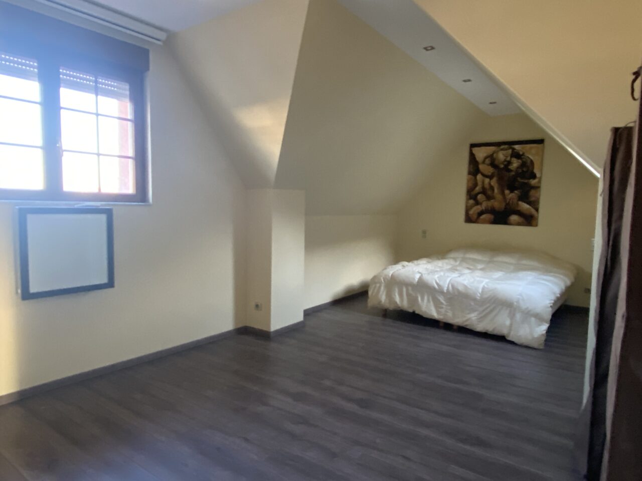 Haguenau très bel appartement 127m2 au sol, dernier étage, prox. halle aux houblons.