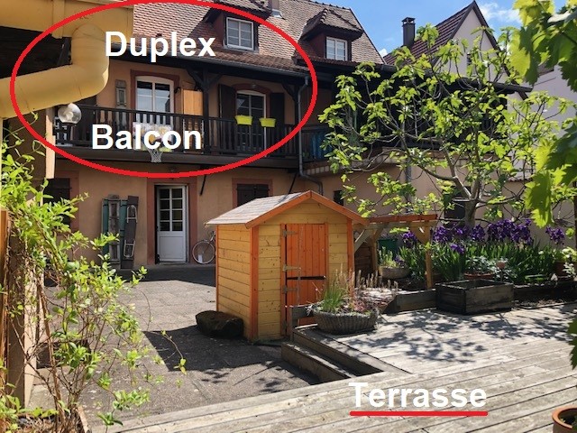 Haguenau, beau duplex, au calme, proche halle aux houblons, balcon, jardin Haguenau, beau duplex, au calme, proche halle aux houblons, balcon, jardin
