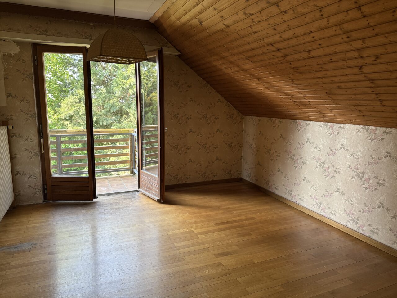 Betschdorf maison familiale 205m2 sur 16 ares
