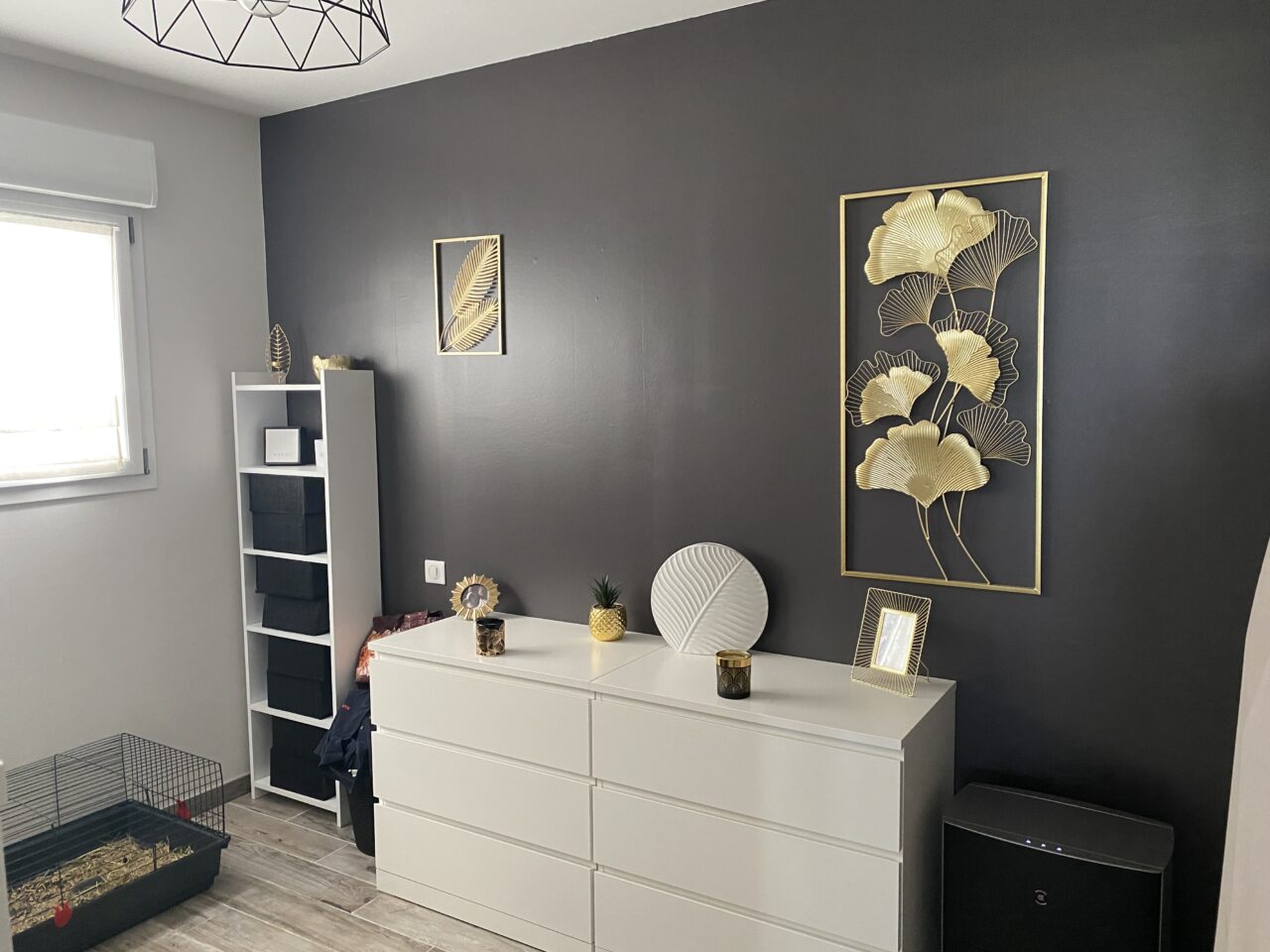 Haguenau très beau rez de jardin, 3pc, garage, parking. Vidéo