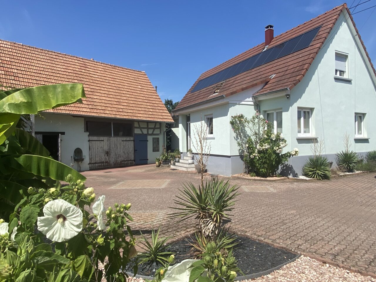 Mertzwiller belle maison 130m2 avec dépendance et piscine sur 9,34 ares. Vidéo disponible Mertzwiller belle maison 130m2 avec dépendance et piscine sur 9,34 ares. Vidéo disponible