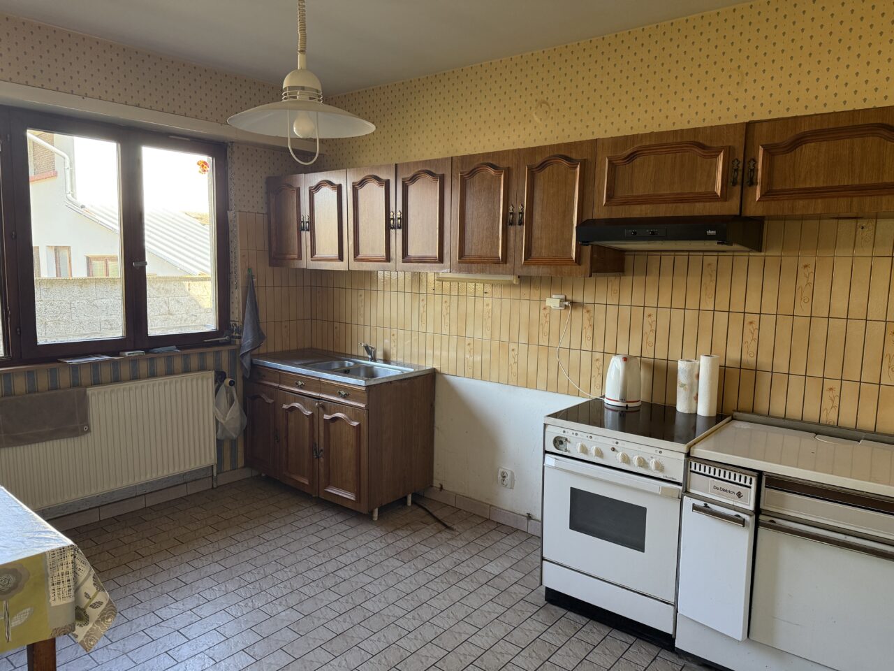 Betschdorf maison familiale 205m2 sur 16 ares