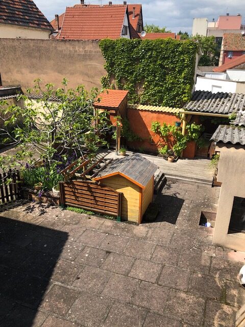 Haguenau, beau duplex, au calme, proche halle aux houblons, balcon, jardin Haguenau, beau duplex, au calme, proche halle aux houblons, balcon, jardin