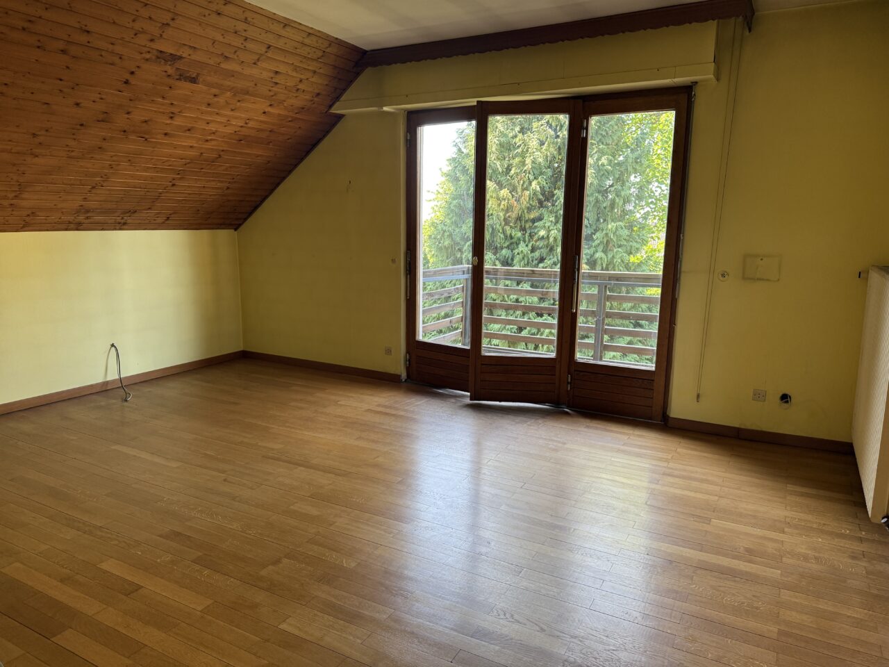 Betschdorf maison familiale 205m2 sur 16 ares