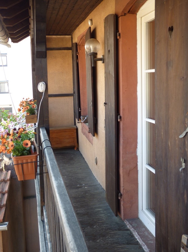 Haguenau, beau duplex, au calme, proche halle aux houblons, balcon, jardin Haguenau, beau duplex, au calme, proche halle aux houblons, balcon, jardin