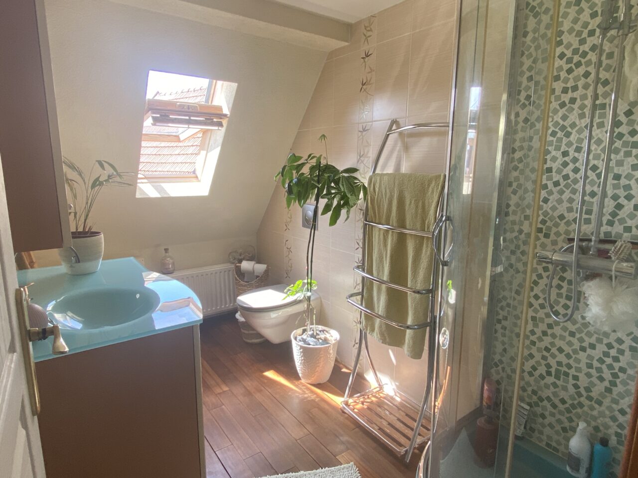Mertzwiller belle maison 130m2 avec dépendance et piscine sur 9,34 ares. Vidéo disponible Mertzwiller belle maison 130m2 avec dépendance et piscine sur 9,34 ares. Vidéo disponible
