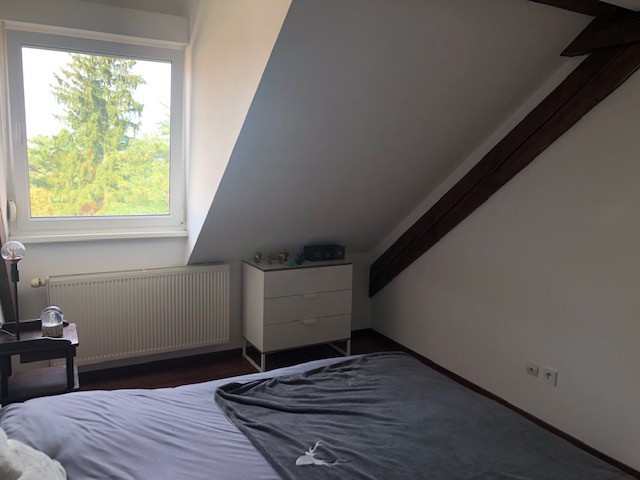 Haguenau véritable coup de coeur pour ce duplex 3 pièces Haguenau véritable coup de coeur pour ce duplex 3 pièces