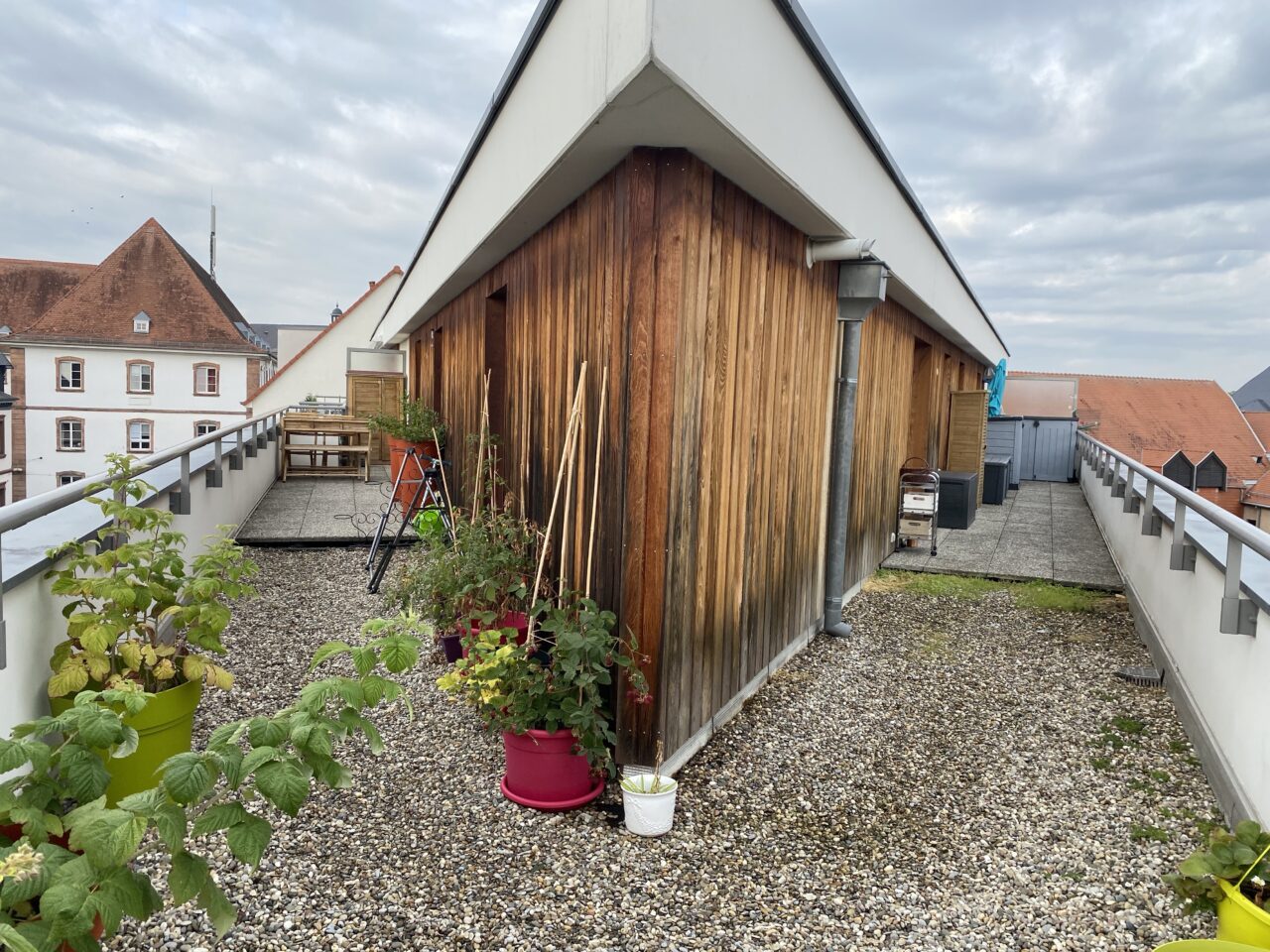 Haguenau, très bel attique de 61m2 avec terrasse de 36m2. Coup de coeur assuré.